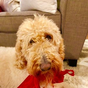 Meet your Posher, Catherine